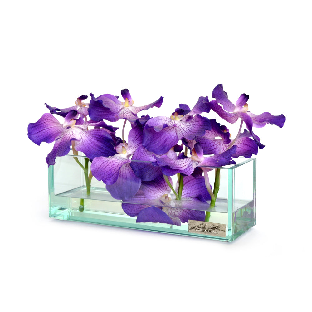 Purple Vanda in Glass Plate Vase • 3 sizes (12", 24" & 48"L)