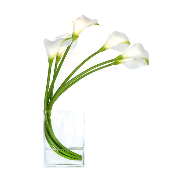 White Calla Lily 9"H Aquarium