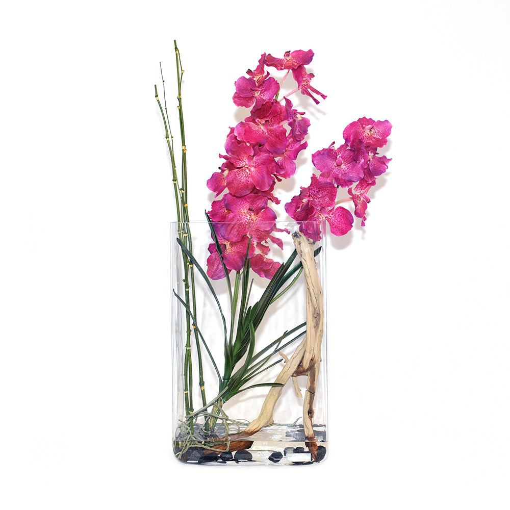 Fuchsia Vanda & Driftwood 22" Aquarium