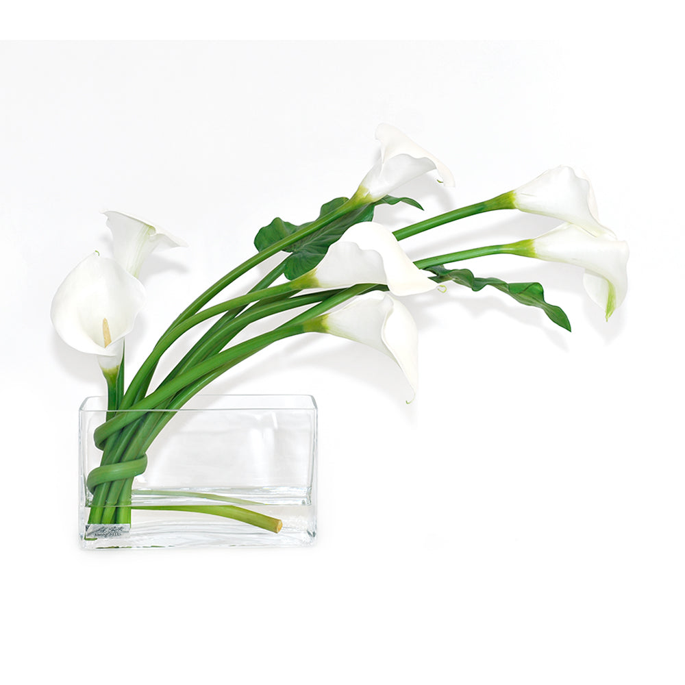 White Calla Lily 7"H Aquarium