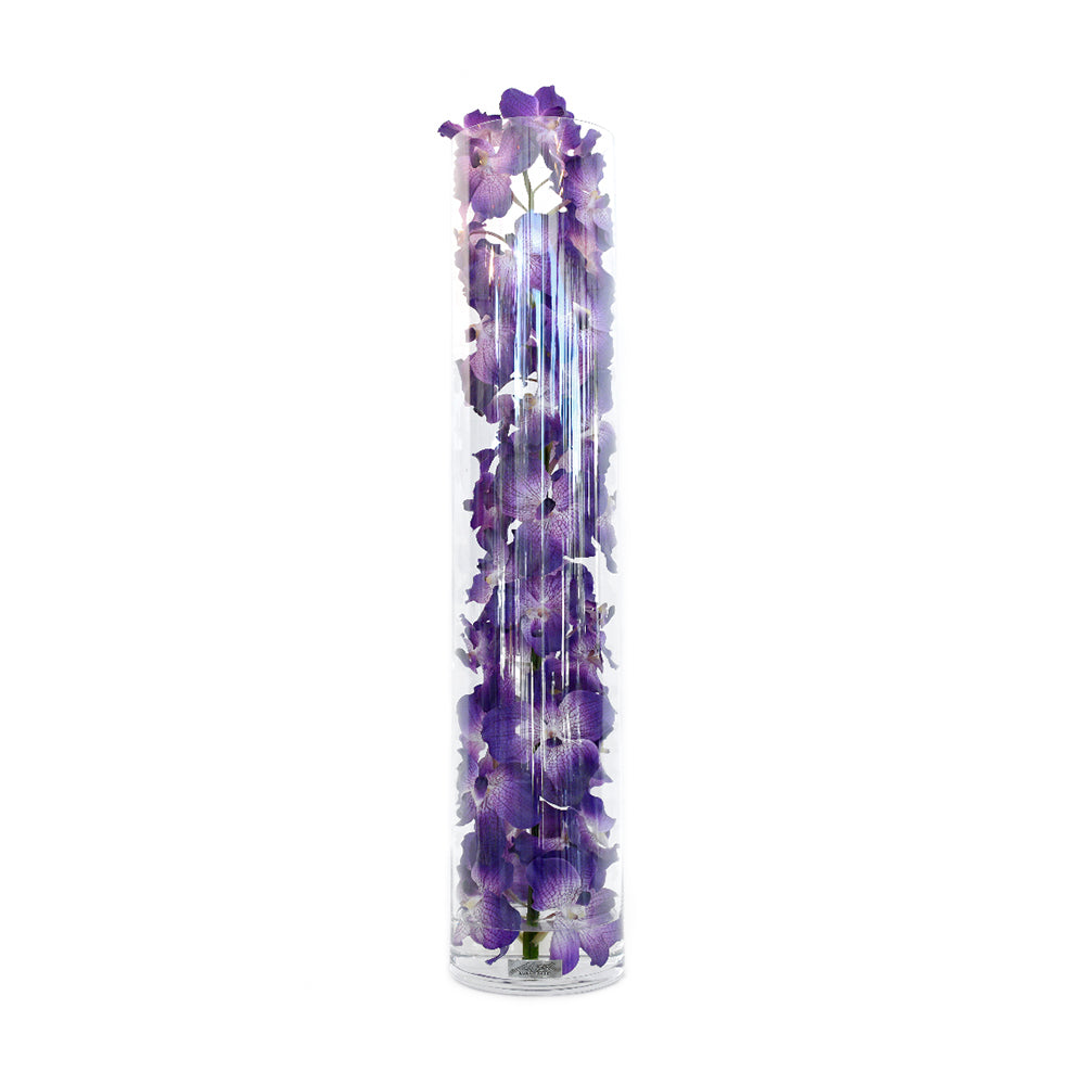 Purple Vanda Orchid in Cylinder • 5 sizes (22", 31.5", 35", 43.5", 47"H)