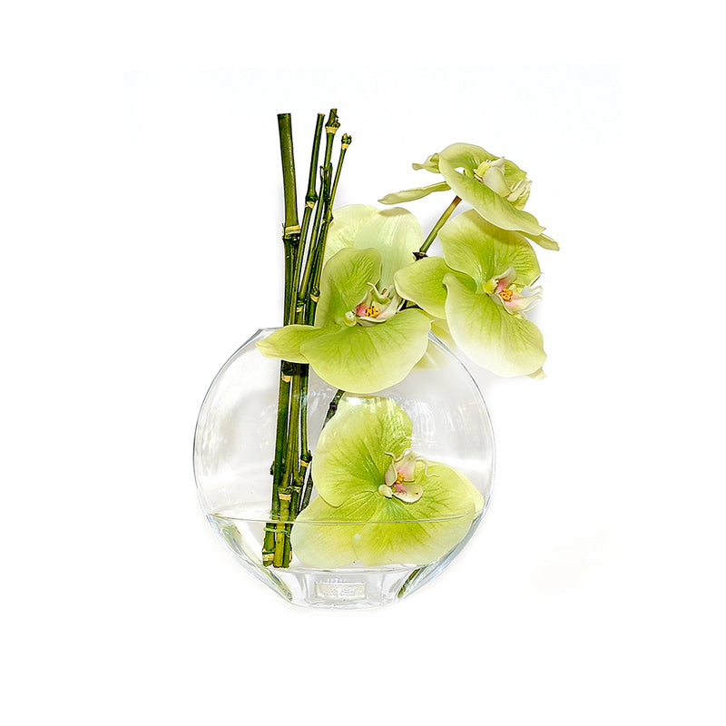 Green Phalaenopsis & Bamboo 6.5" Moon Vase