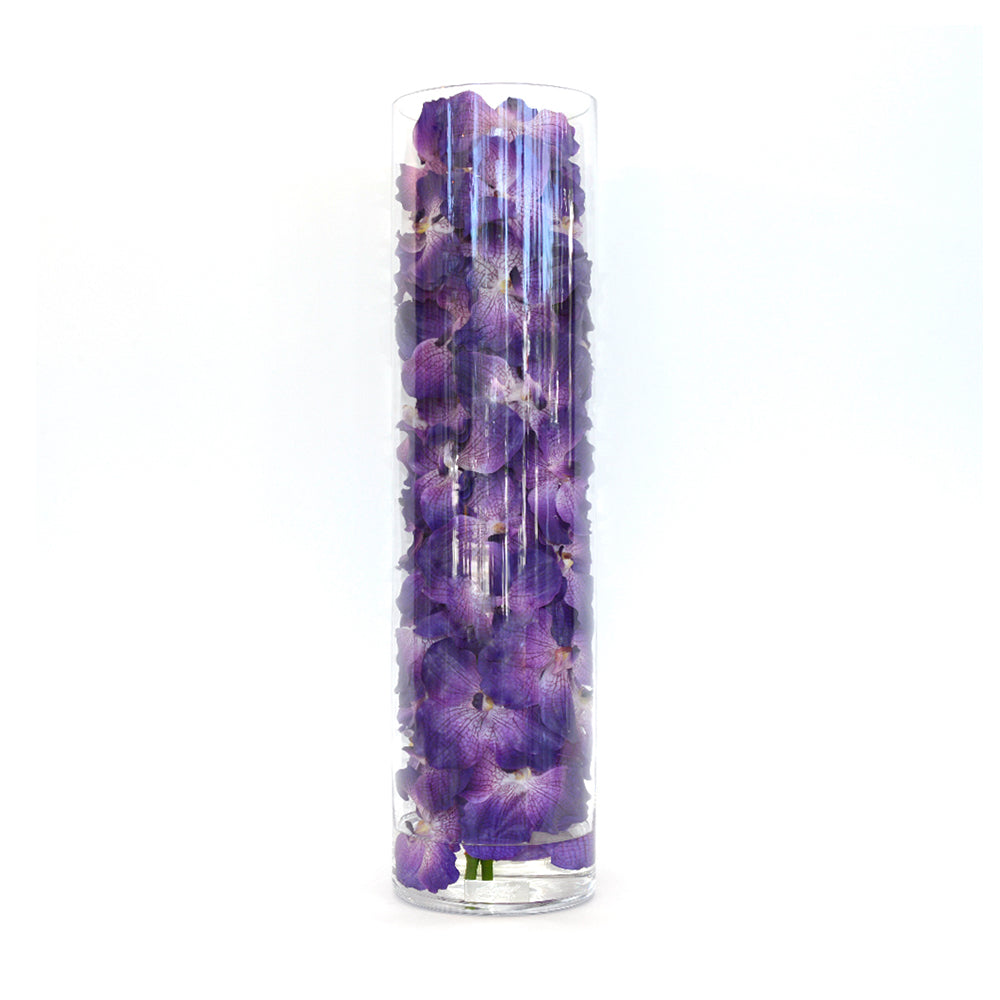 Purple Vanda Orchid in Cylinder • 5 sizes (22", 31.5", 35", 43.5", 47"H)