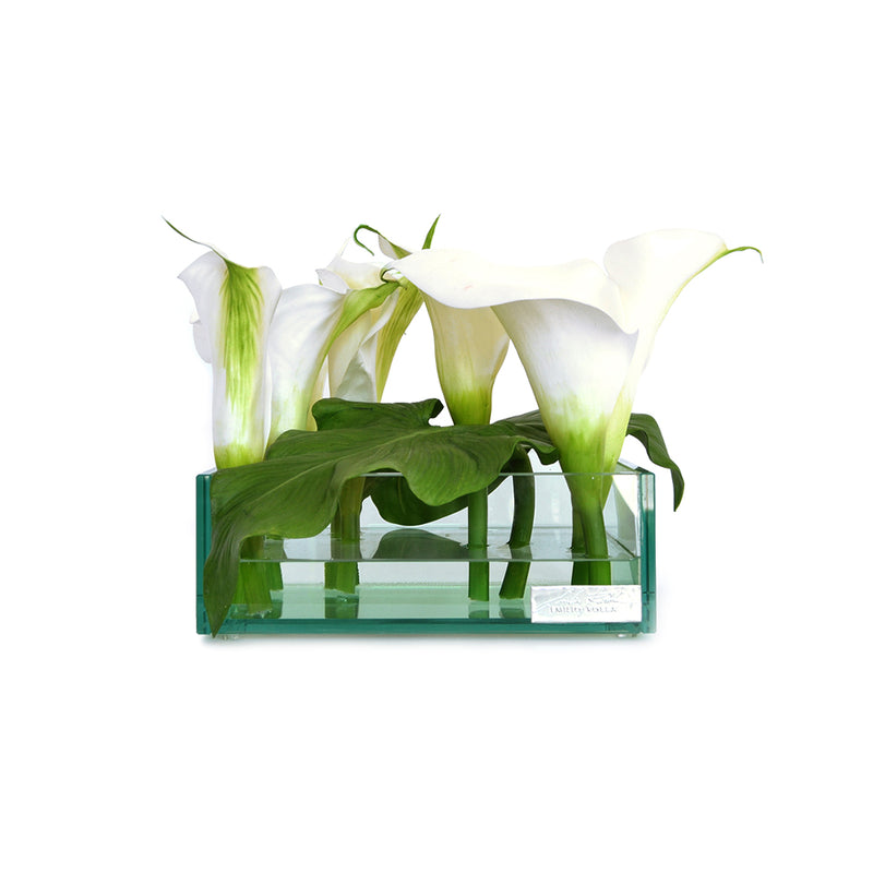 White Calla Lily 8" SQ Glass Plate Planter
