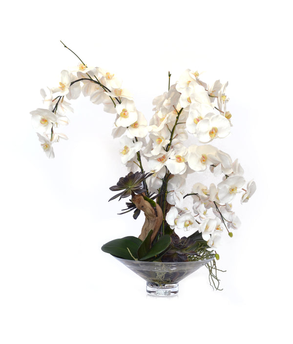 White Phalaenopsis & Driftwood Harlow Vase