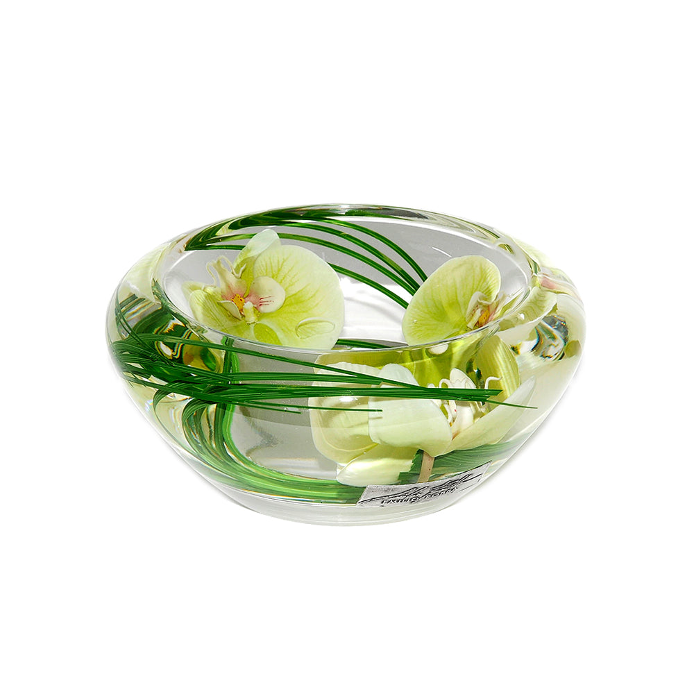 Green Phalaenopsis Flower Bowl