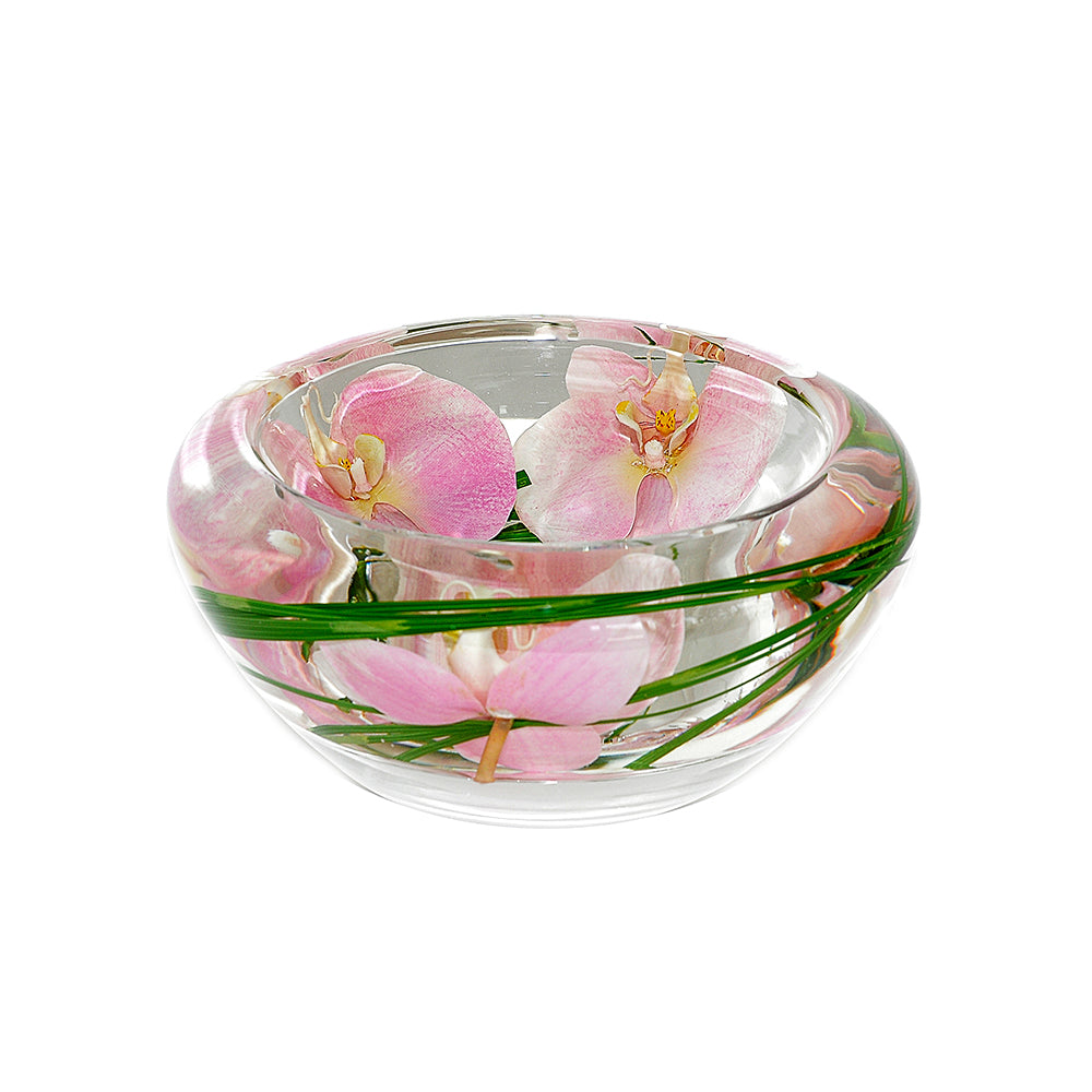 Pink Phalaenopsis Flower Bowl