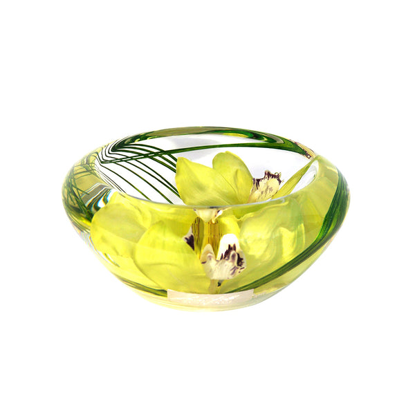 Green Cymbidium Flower Bowl