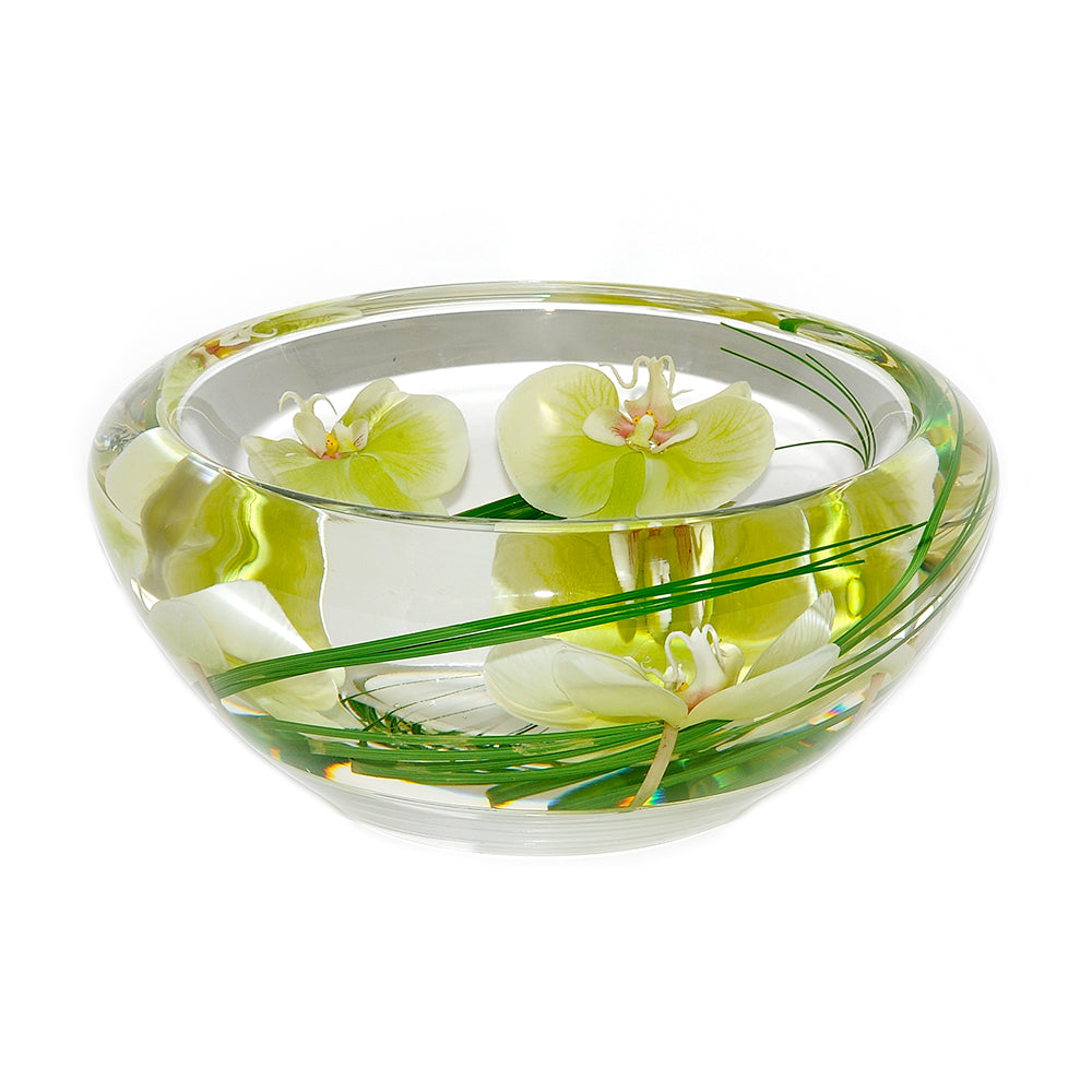 Green Phalaenopsis Flower Bowl