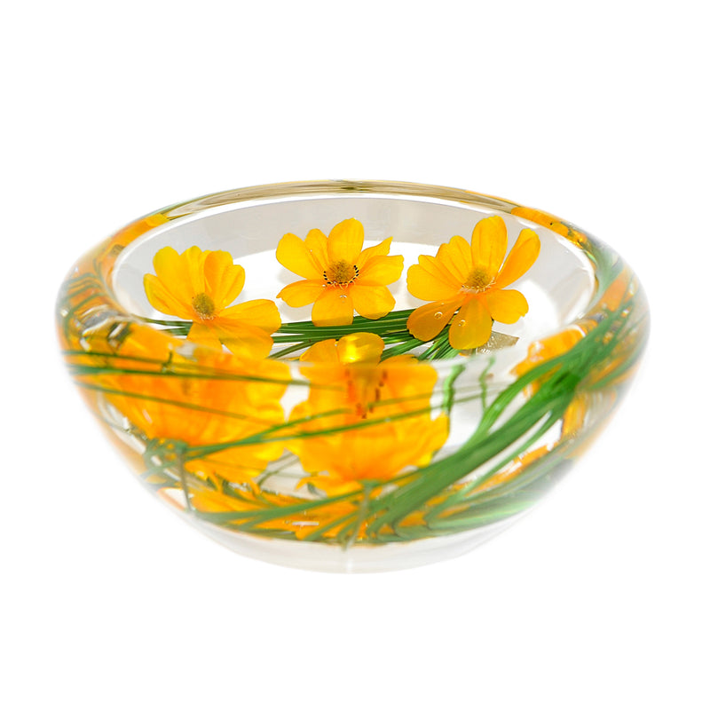 Yellow Cosmos Flower Bowl