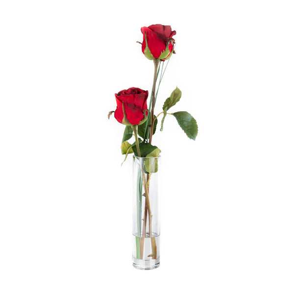 Red Rose in Bud Vase