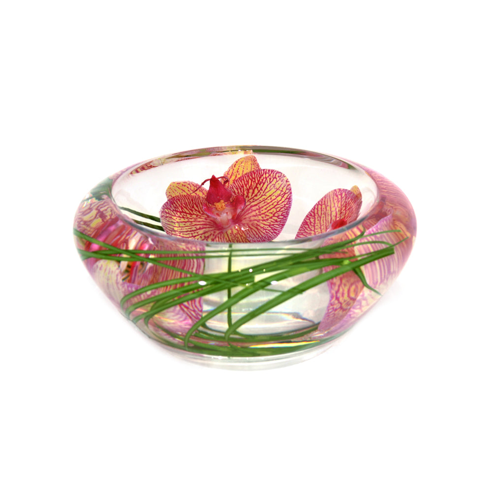 Pink/Yellow Spotted Phalaenopsis Flower Bowl