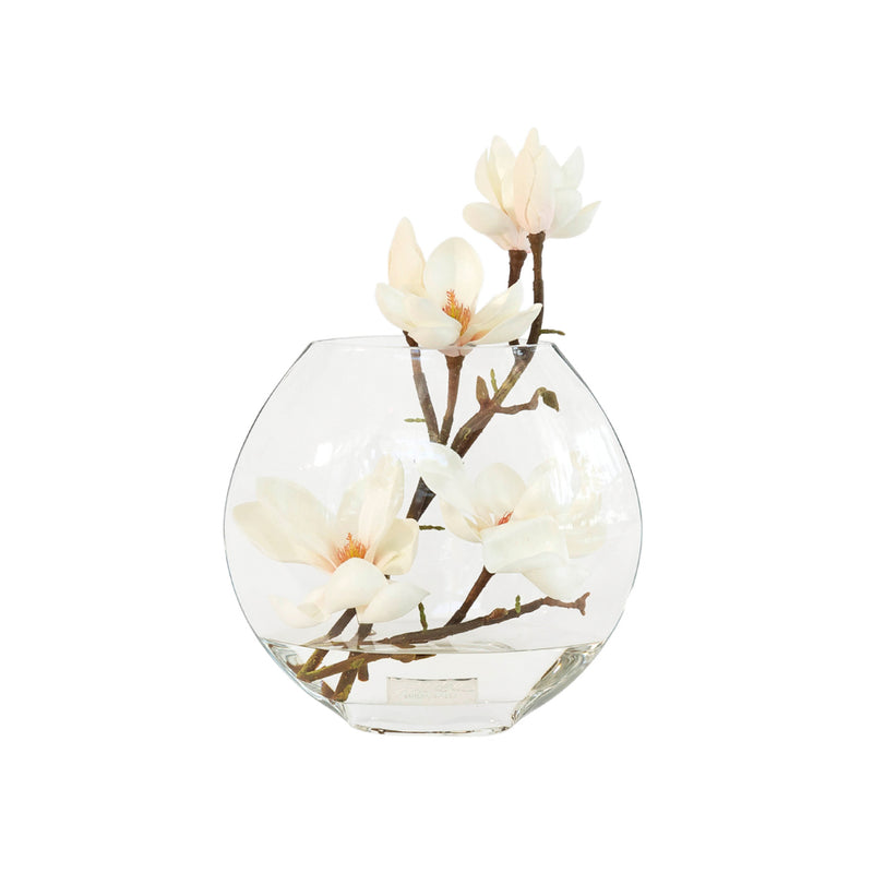 Champagne Magnolia in 10" Moon Vase