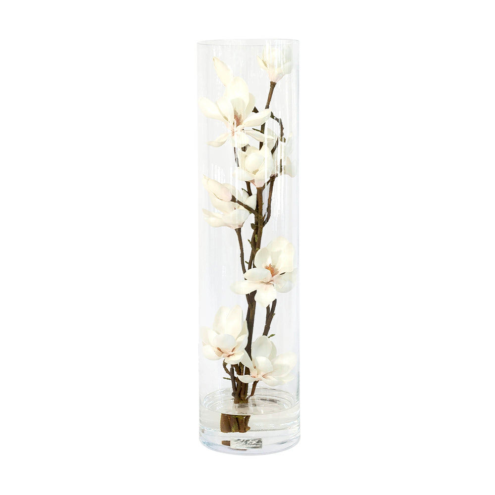 Champagne Magnolia Flowers in Tube Vase • 3 sizes