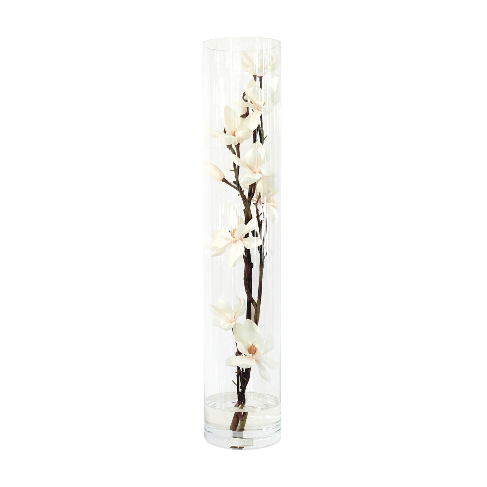 Champagne Magnolia Flowers in Tube Vase • 3 sizes