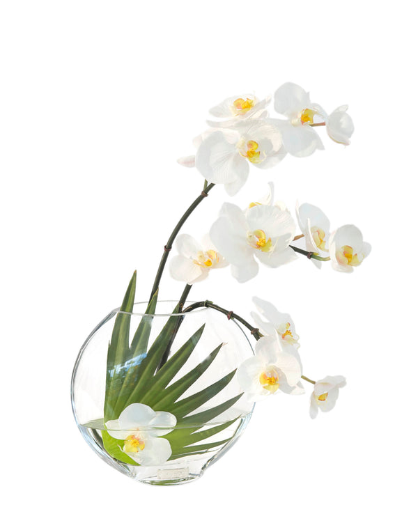 White Phalaenopsis & Palm 6.5" Moon Vase