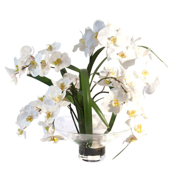 White Phalaenopsis & Flax Harlow Vase