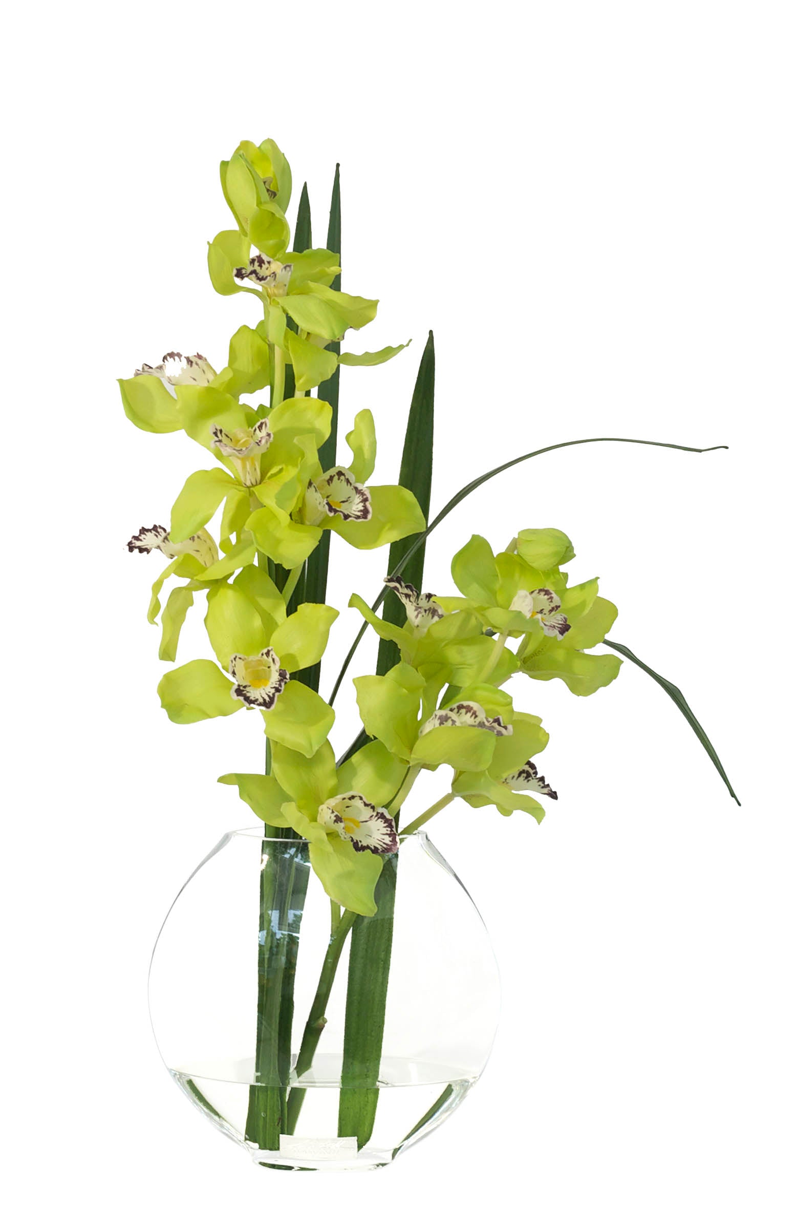 Green Cymbidium & Flax Leaf 10" Moon Vase