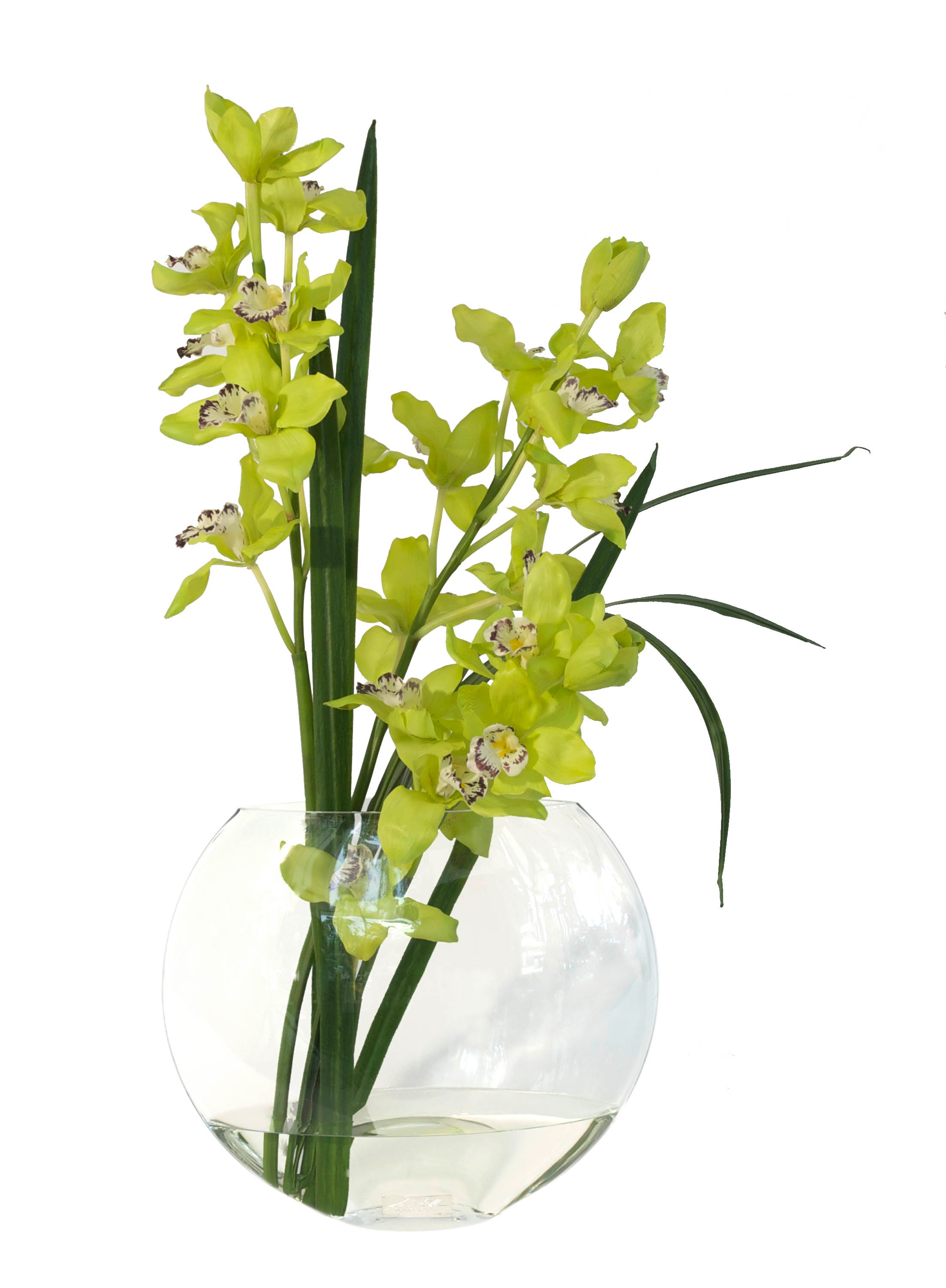 Green Cymbidium & Flax Leaf 13"H Moon Vase