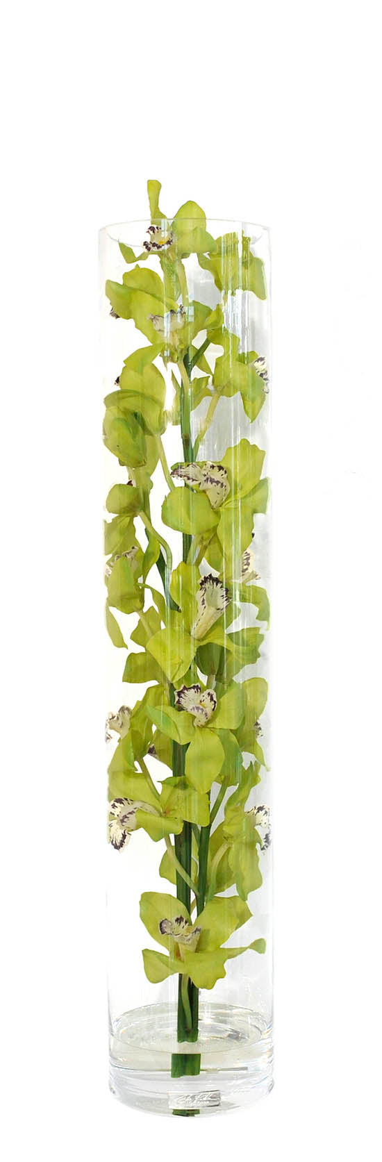 Green Cymbidium 36"H Cylinder