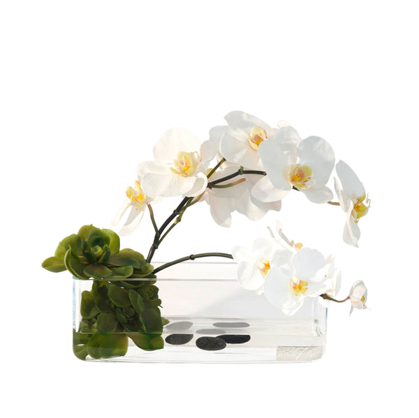 White Phalaenopsis & Succulents 12" Rectangle Vase