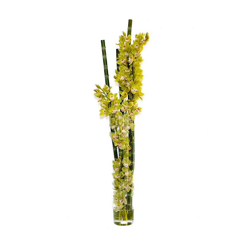 Green Cymbidium & Sugarcane in Tapered Vase • 3 sizes