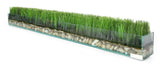 Grass & Stones in 48" Glass Plate Planter