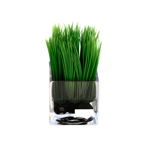 Grass & Stones in Square Vase