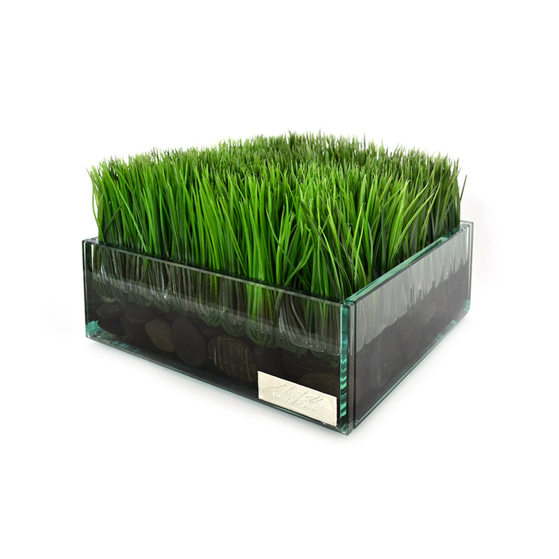 Grass & Stones in 8" Square Glass Plate Planter
