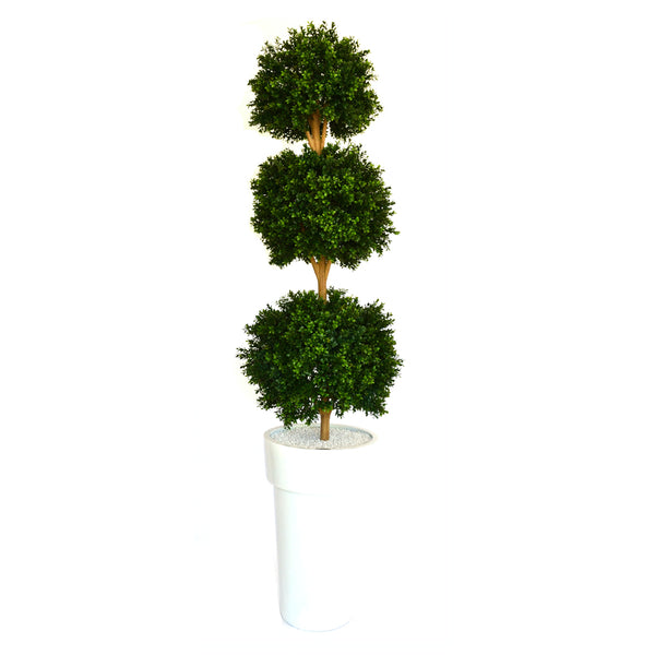 Boxwood Topiary in White Resin Container