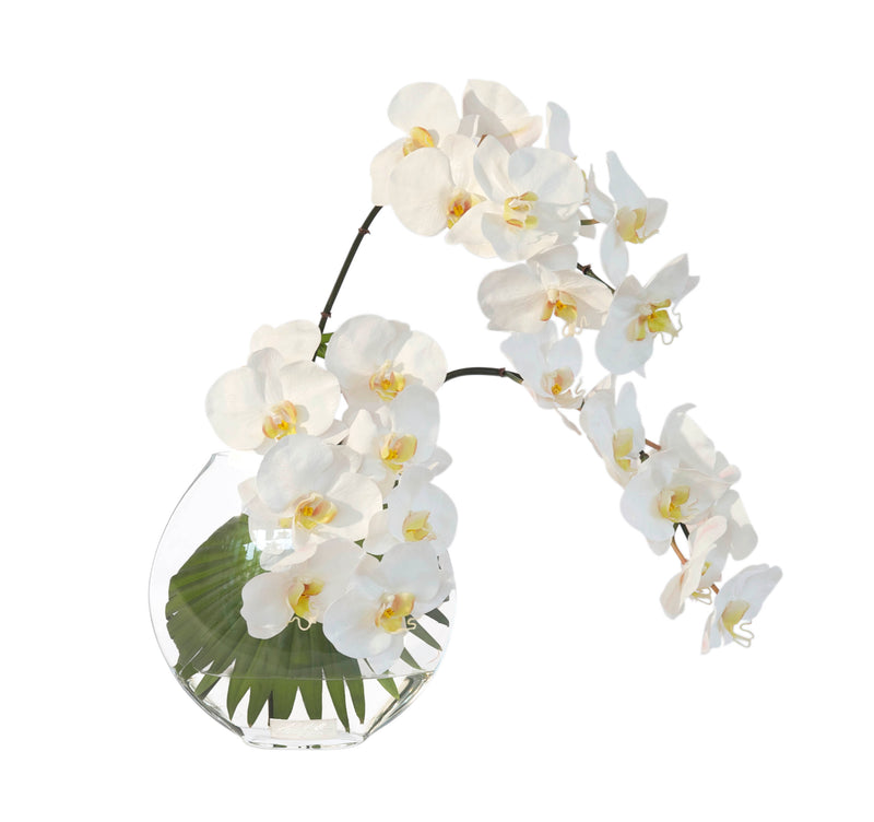 White Phalaenopsis & Palm 10" Moon Vase