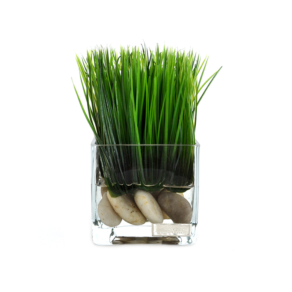 Grass & Stones in Square Vase