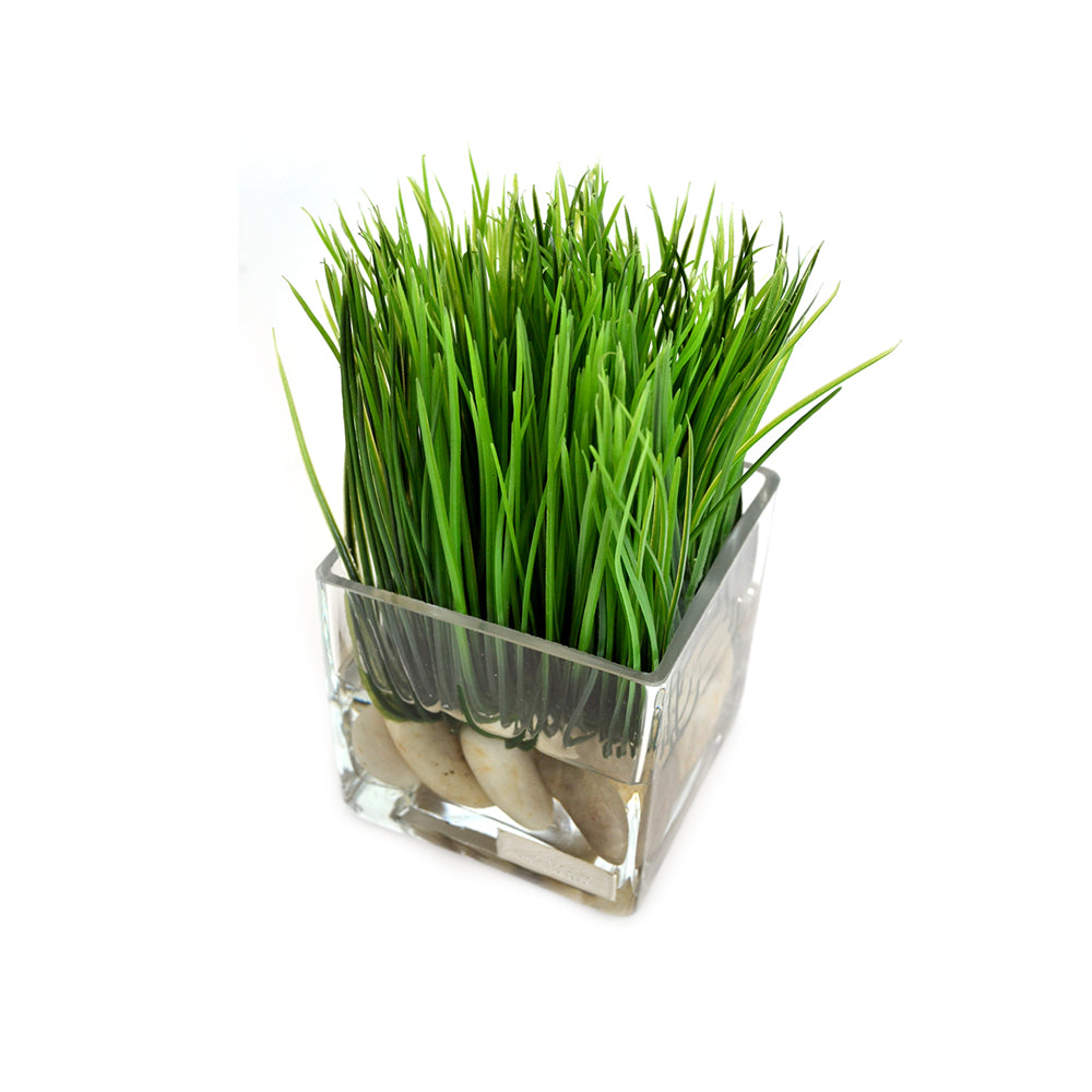 Grass & Stones in Square Vase