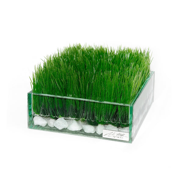 Grass & Stones in 8" Square Glass Plate Planter