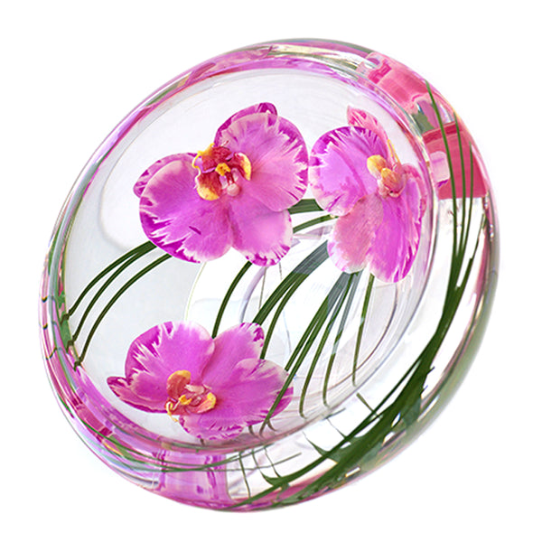 Radiant Phalaenopsis Orchid Flower Bowl