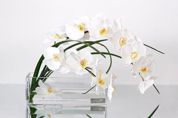 White Phalaenopsis & Flax 12"L Rectangle Vase
