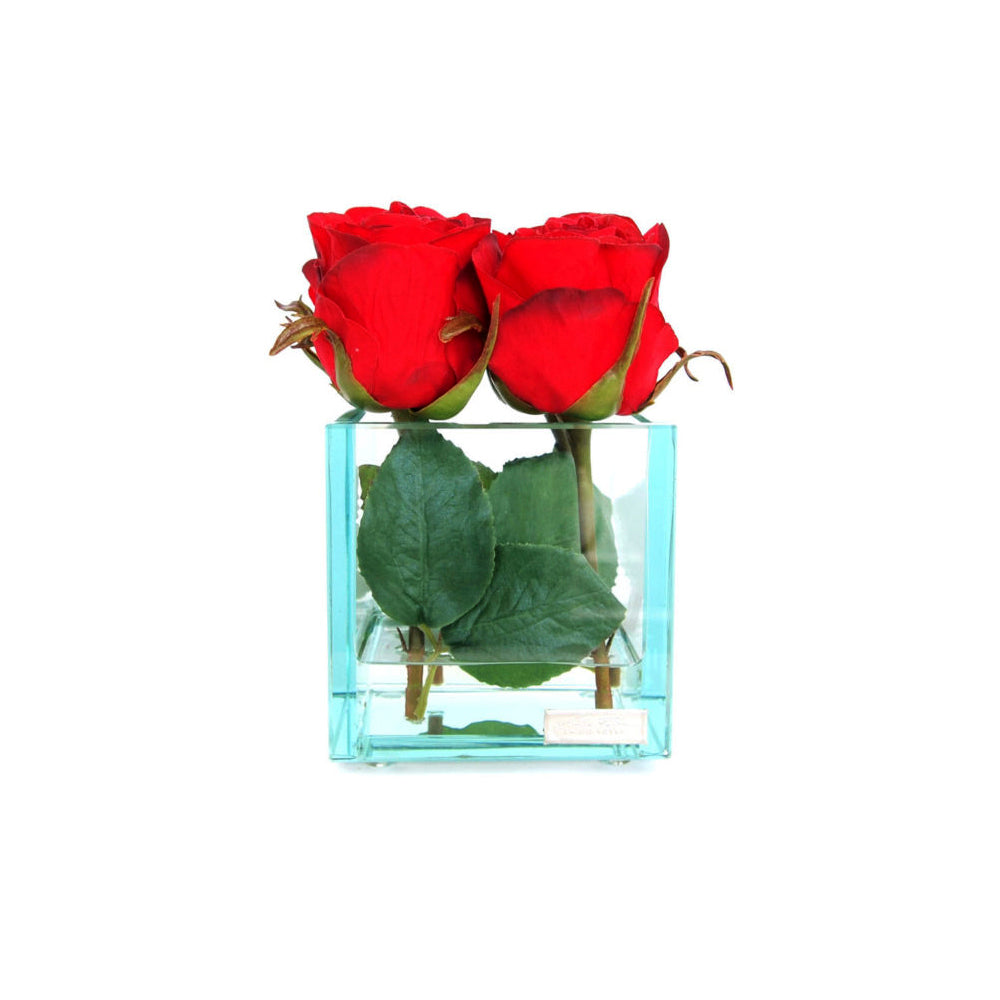 Red Roses in Glass Plate Cube. 2 sizes (4" & 6.5" Cube)