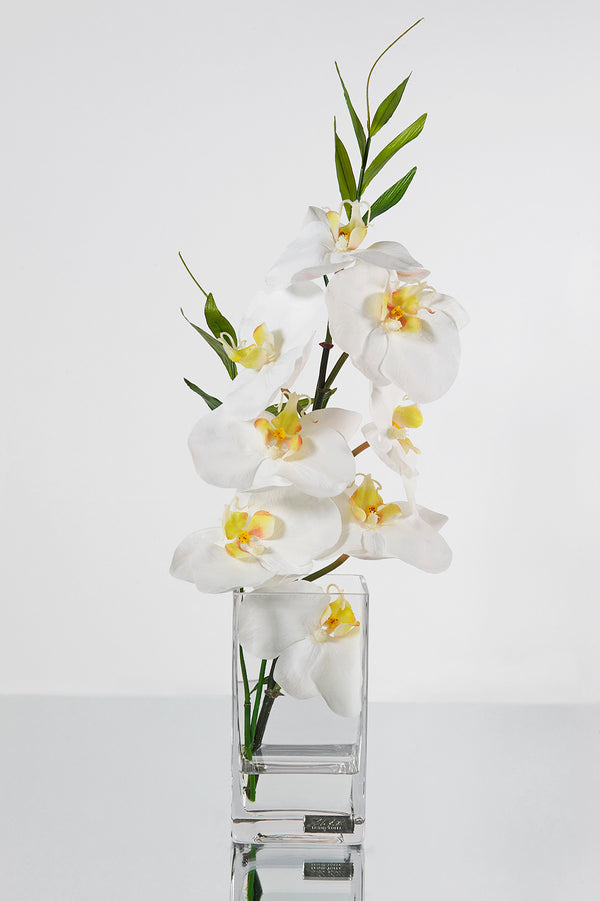 White Phalaenopsis & Bamboo Leaves 6" Cube Vase