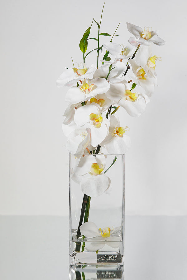 White Phalaenopsis & Bamboo Leaves 10" Cube Vase