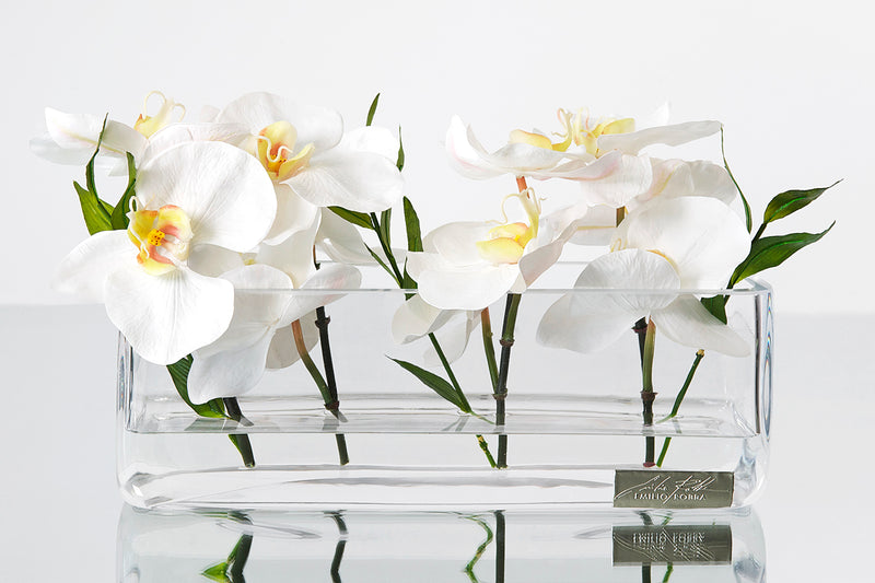 White Phalaenopsis & Bamboo Leaves 12"L Rectangle Vase