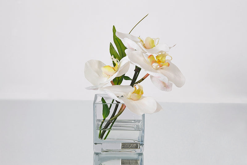 White Phalaenopsis & Bamboo Leaves Square Vase