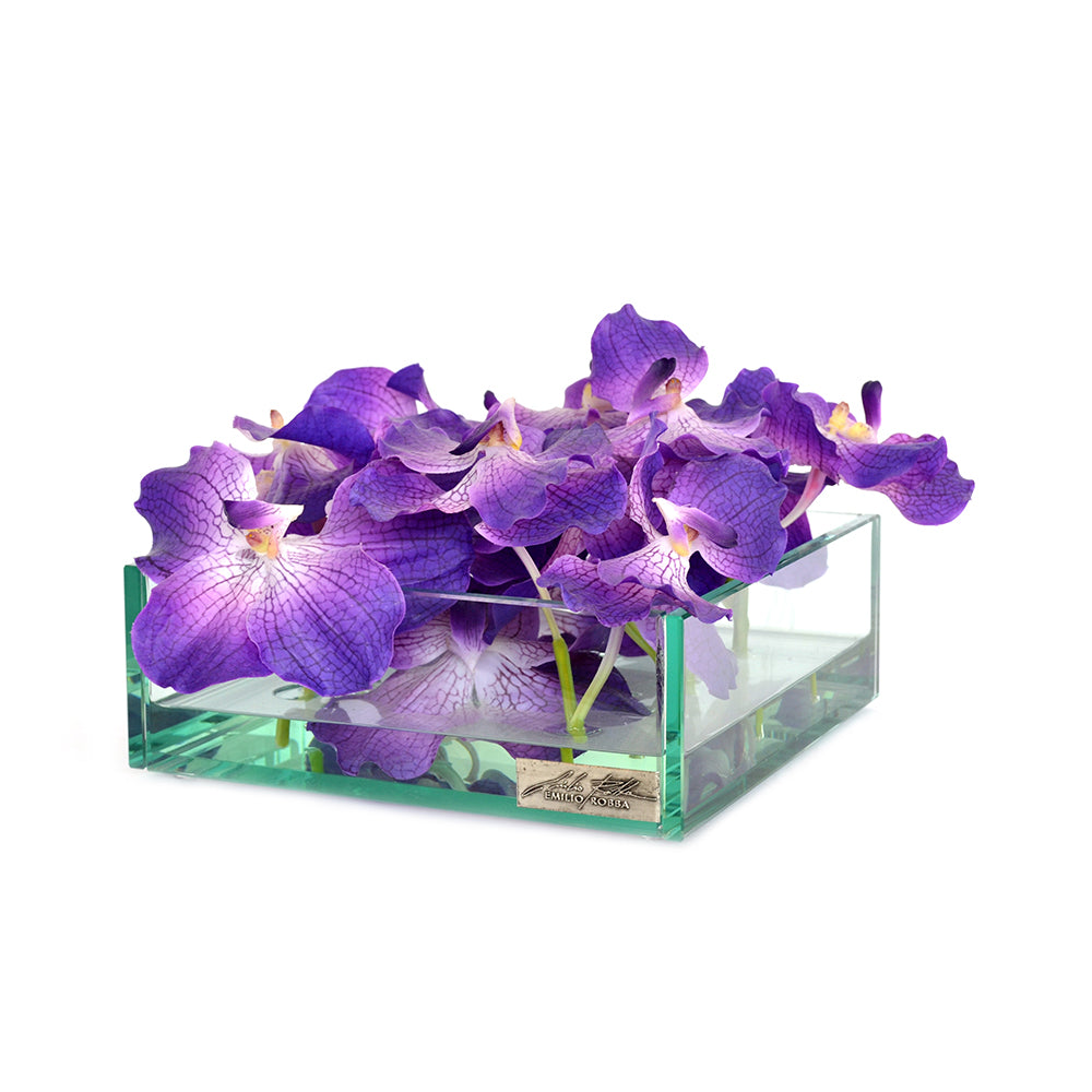 Purple Vanda 12" Square Plate Glass Planter