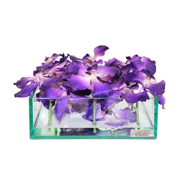 Purple Vanda 12" Square Plate Glass Planter