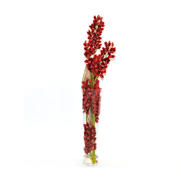 Red Cymbidium & Driftwood 35" Tapered Vase