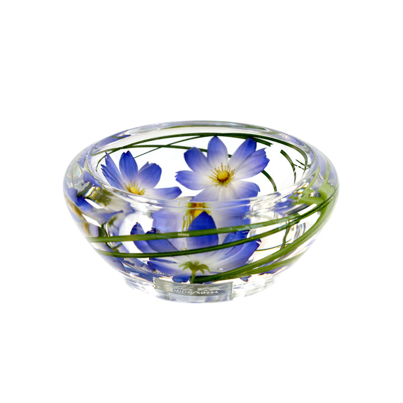 Light Blue Cosmos Flower Bowl