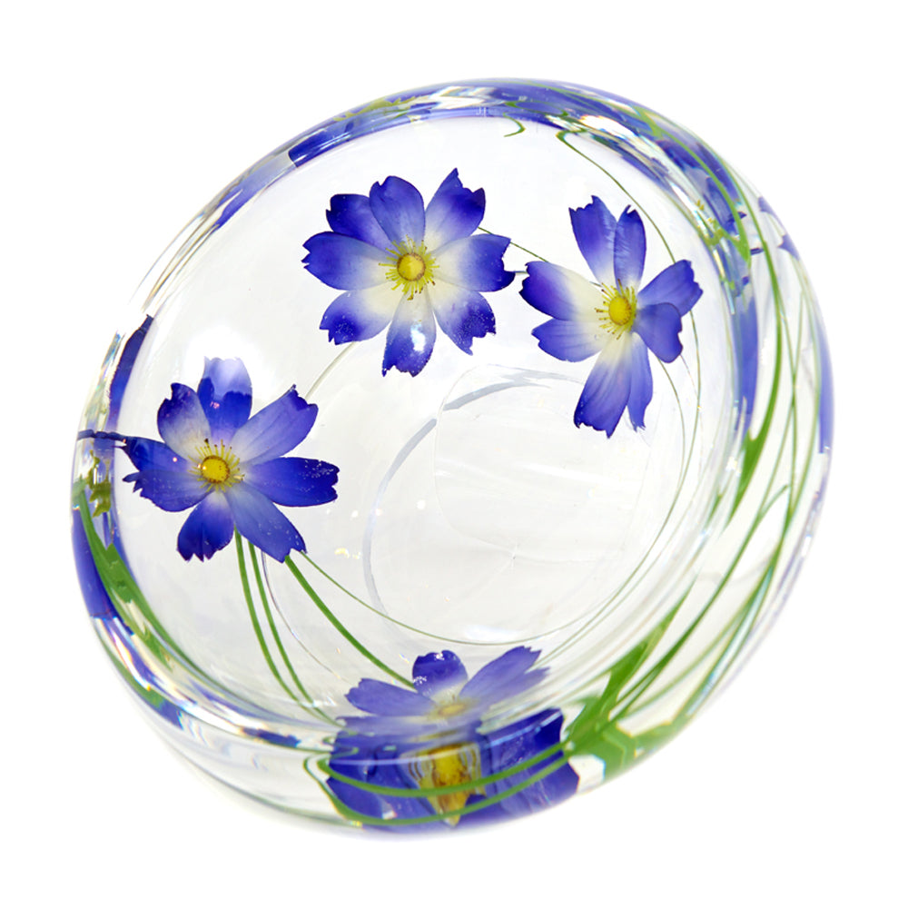 Light Blue Cosmos Flower Bowl