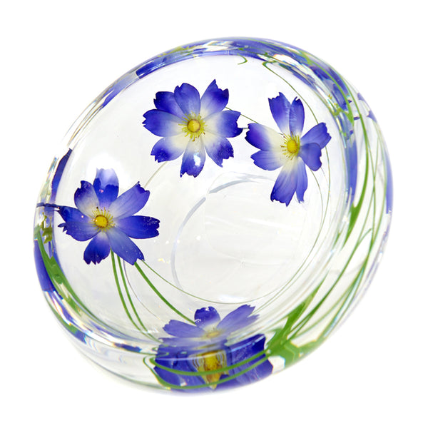 Light Blue Cosmos Flower Bowl