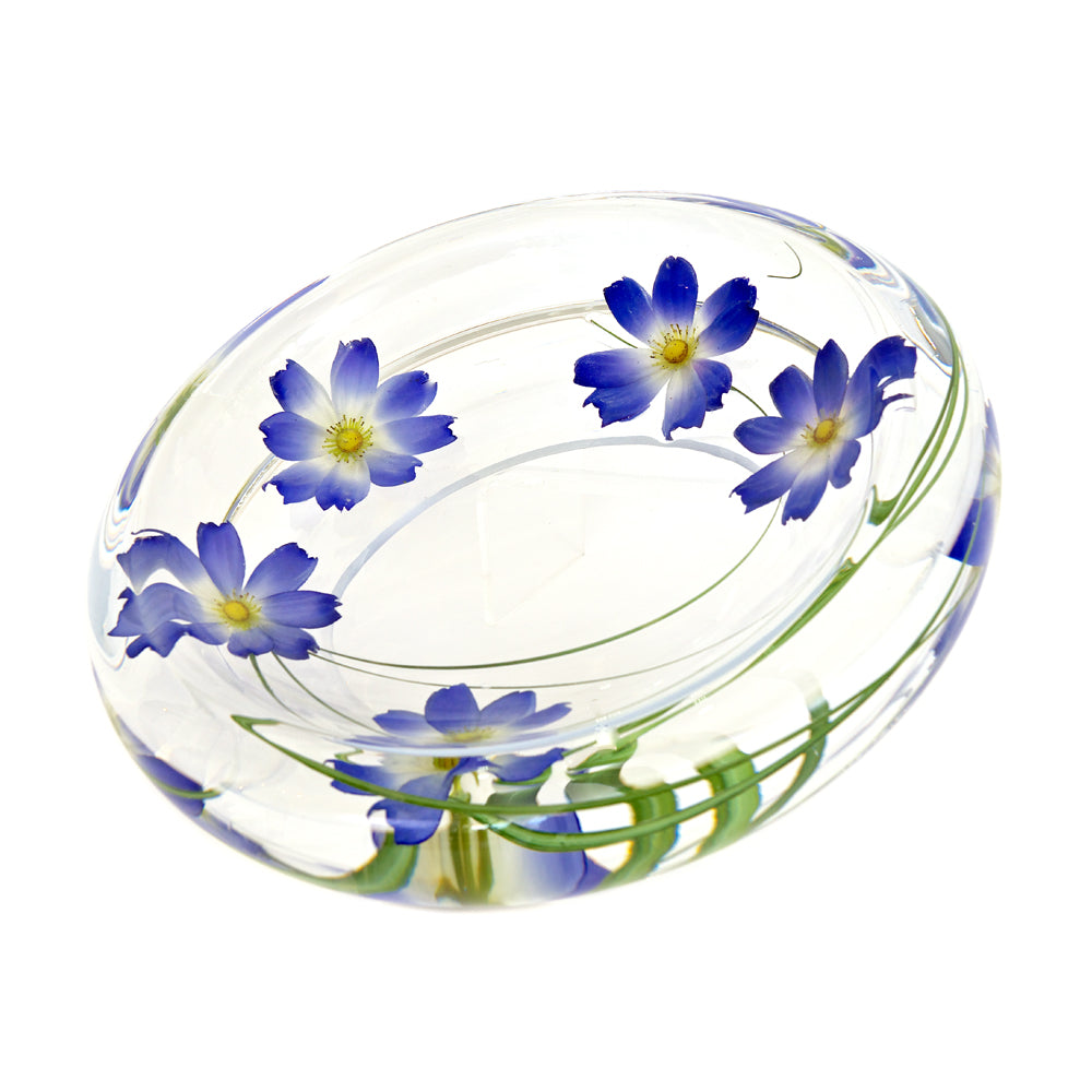 Light Blue Cosmos Flower Bowl