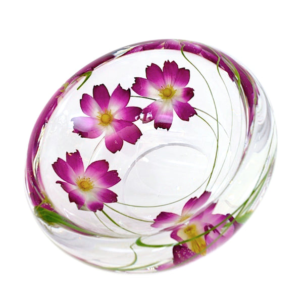 Purple Cosmos Flower Bowl