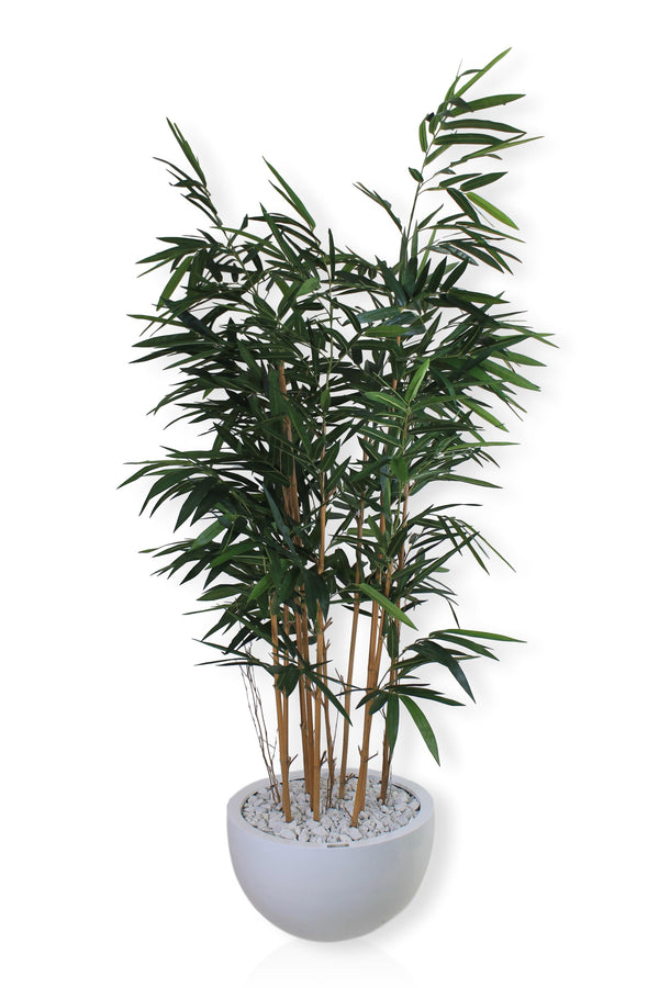 Bamboo Plant in 18" Round Vase
